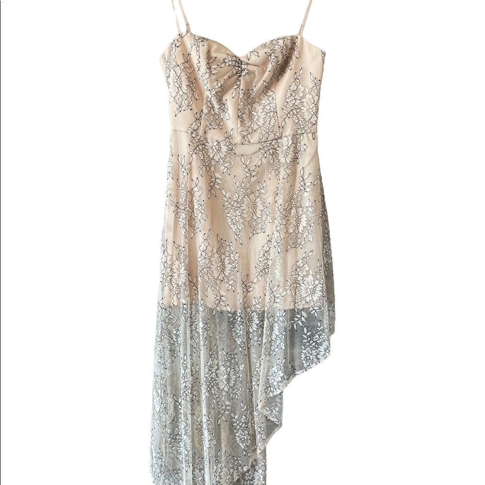 NBD Mesh Floral Sun Dress